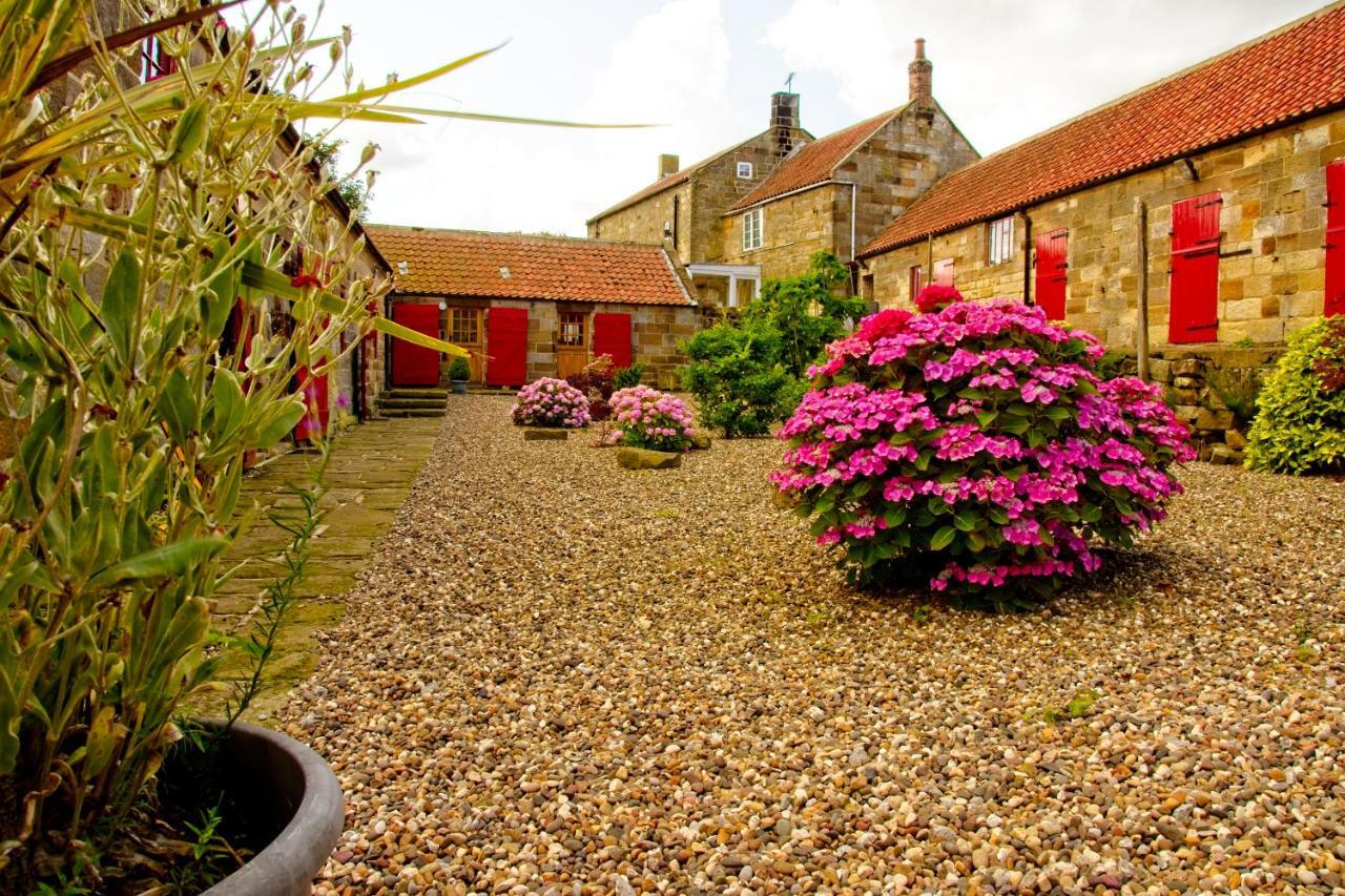Spangle Cottage, Borrowby Farm Cottages Staithes Exteriér fotografie