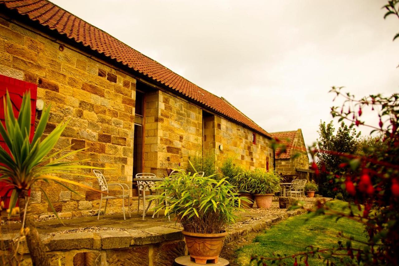 Spangle Cottage, Borrowby Farm Cottages Staithes Exteriér fotografie